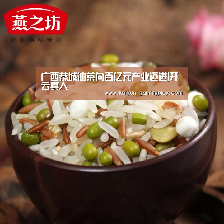 广西恭城油茶向百亿元产业迈进|开云真人(图1) 开云平台