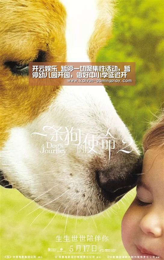 开云娱乐_暂停一切聚集性活动,暂停幼儿园开园,做好中小学延迟开学预案(图4) 开云娱乐