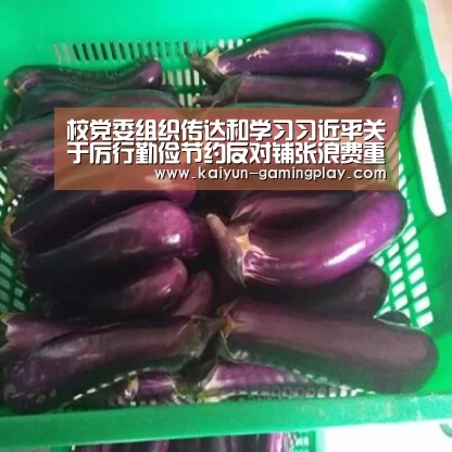 校党委组织传达和学习习近平关于厉行勤俭节约反对铺张浪费重要批示精神-开云电竞(图1) 开云真人